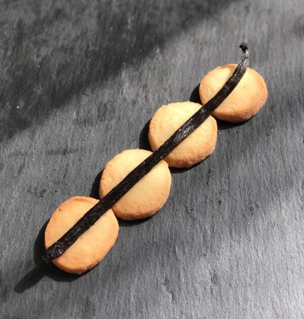 quatre biscuits ronds sont alignés et déposés sur une ardoise. Une gousse de vanille est délicatement déposée sur les biscuits dans le même alignement